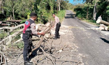 Sat-Samapta-Polres-Ngada-Tingkatkan-Patroli-Dialogis,-Bersihkan-Pohon-Tumbang-dan-Cegah-Premanisme