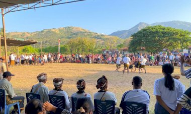 Polsek-Riung-laksanakan-Pengamanan-Pentas-Budaya-Tinju-Adat-Tadho-Mbela-Mese,-Warisan-Leluhur-yang-terus-Dilestarikan 