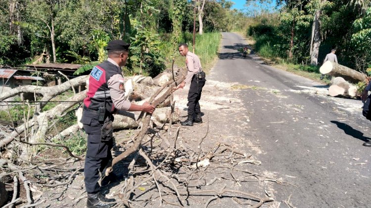 Sat Samapta Polres Ngada Tingkatkan Patroli Dialogis, Bersihkan Pohon Tumbang dan Cegah Premanisme
